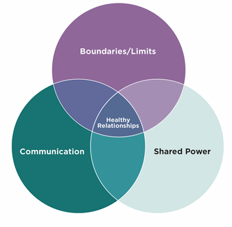 A diagram of a healthy relationships  AI-generated content may be incorrect.